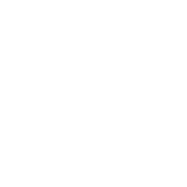 Future Systemics