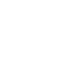 Future Systemics