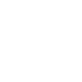 Future Systemics