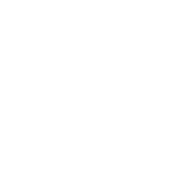 Future Systemics