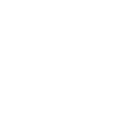 Future Systemics