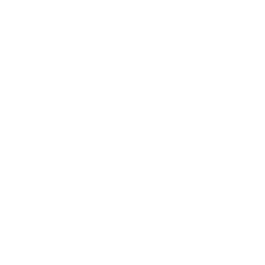Future Systemics