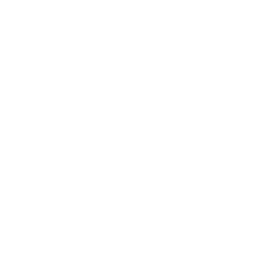 Future Systemics