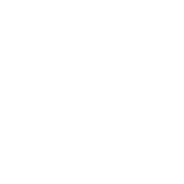 Future Systemics