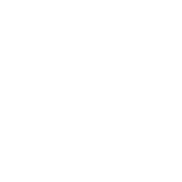Future Systemics