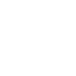 Future Systemics