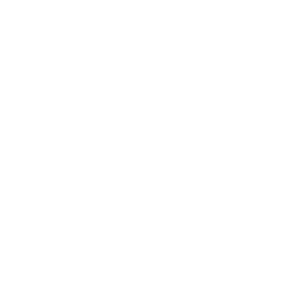 Future Systemics