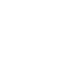 Future Systemics
